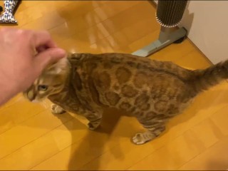 Pussy being spanked …. Intense play starts.