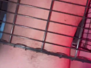 Femdom Pegging in a Cage Fan Fuck