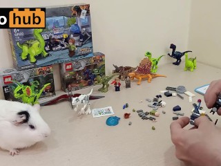 Vlog 16: A Lego dinosaur egg incubator