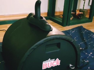 Motorbunny greenback! Take a look at our new sybian!